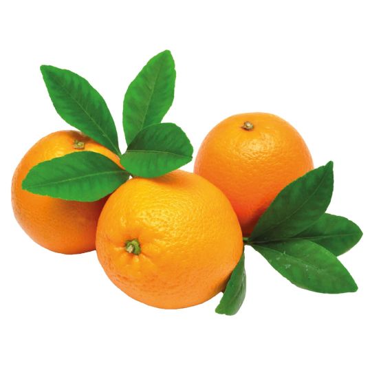 EGYPT ORANGE NAVEL PER KG