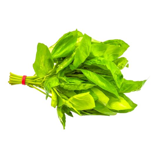 BAHRAIN SWEET BASIL PER PC