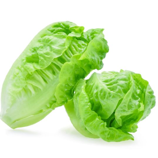 LEBANON LETTUCE ICEBERG PER KILO