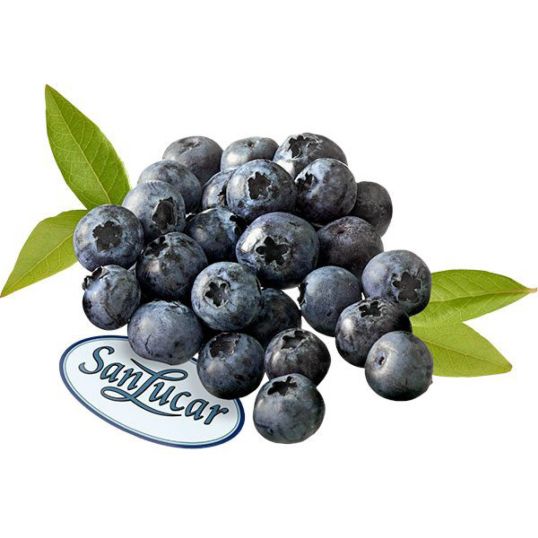 TUNISIA BLUE BERRY SANLUCAR 125 GMS PACK