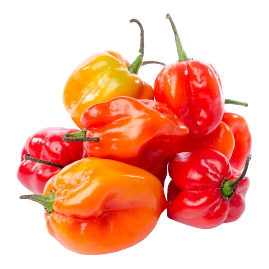 USA PEPPERS HABANERO PER KG