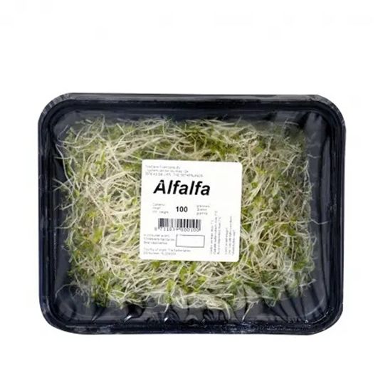 HOLLAND ALFALFA SPROUTS PER PC