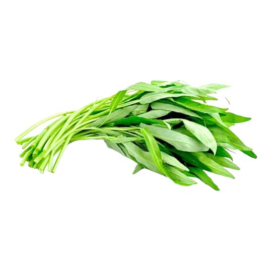 THAILAND MORNING GLORY PER PC