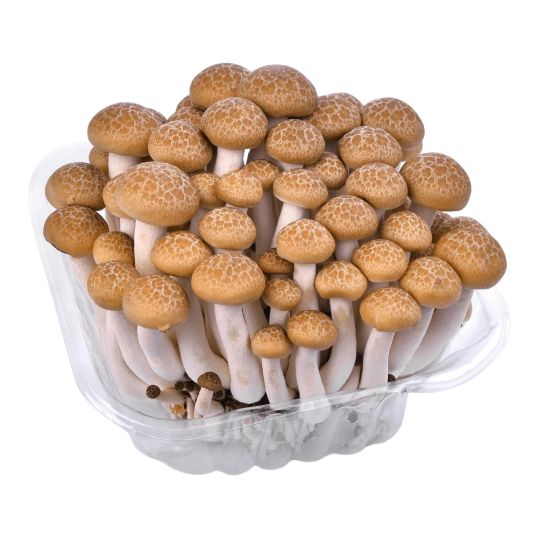 SPAIN MUSHROOM (SHIMEGI) WHITE/BROWN MIX PER PC