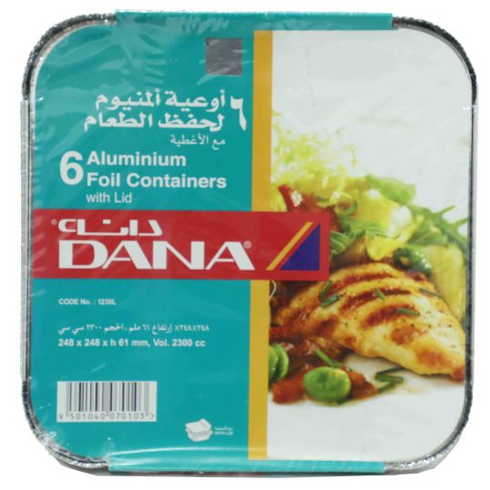 DANA ALUMINUM FOIL CONTAINER 6S