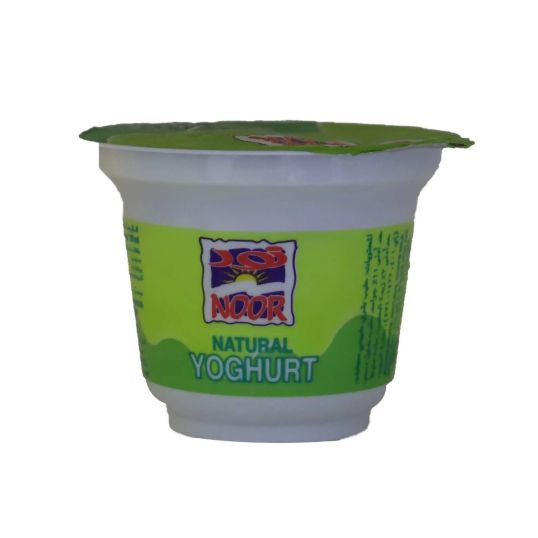 NOOR FULL CREAM YOGHURT 6X170 GMS