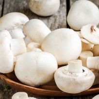 BAHRAIN MUSHROOM WHITE PER PACK