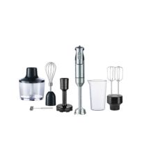 ZEN HAND 7IN1 BLENDER 1000 W 1'S