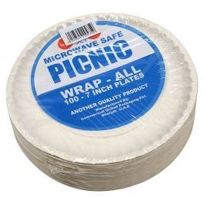 DANA PICNIC PAPER PLATES 100'S