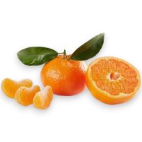 MANDARINE TANGO EGYPT PER KG