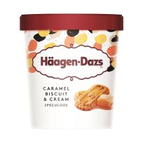 HAAGEN-DAZS CARAMEL BISCUITS & CREAM ICE CREAM 460 ML