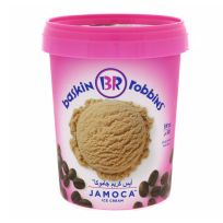 BASKIN ROBBIN JAMOCA ICE CREAM 500 ML