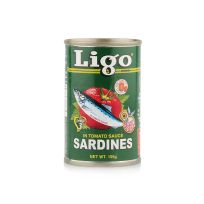 LIGO SARDINES IN TOMATO SAUCE HOT 155 GMS