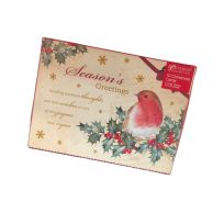 GIFT MAKER 10 BOXED CARDS ROBINS