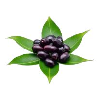 INDIA KALA JAMUN JAVA PLUM PER KG