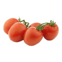 HOLLAND TOMATOES PLUM SIZE A PER KG