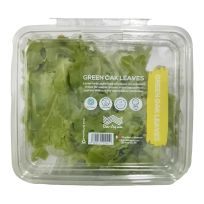 DAR AQUA GREEN OAK LEAF LETTUCE 250 GMS