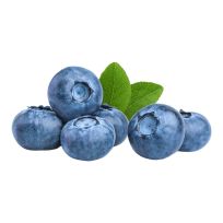MOROCCO BLUEBERRY PER PKT