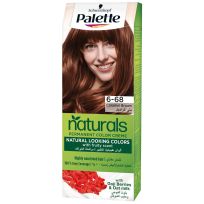 PALETTE HAIR COLOR ASSORTED 2X110 ML SPL.PRICE