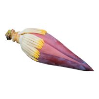 INDIA BANANA FLOWER PER KG