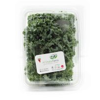 AL GHALIA KALE PER PACK