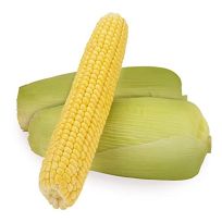 THAILAND SWEET CORN PER KG