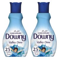 DOWNY VALLEY DEW 2X1 LTR