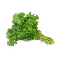 CORIANDER LEAVES PER PACK