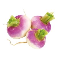 HOLLAND TURNIP PER KG