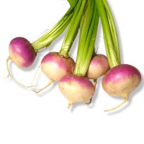 LOCAL TURNIP PER KG