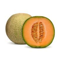 OMAN ROCK MELON PER KG