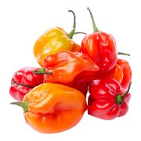 USA PEPPERS HABANERO PER KG