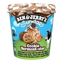 BEN & JERRYS SUNDAE VERMONSTER COOKIES 427 ML