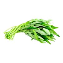 THAILAND MORNING GLORY PER PC