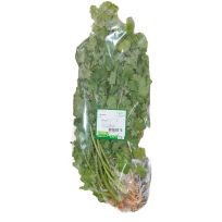 THAILAND CORIANDER PER PC