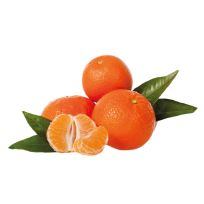 MANDARINE NOVA SOUTH AFRICA PER KG